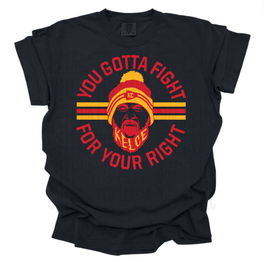 Fight For Your Right Shirt